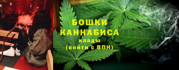 спиды Богородск