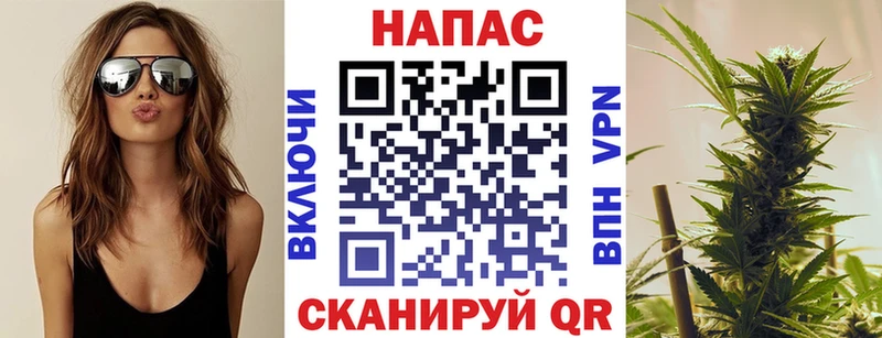 ссылка на мегу зеркало  где найти наркотики  Черноголовка  МАРИХУАНА сатива 
